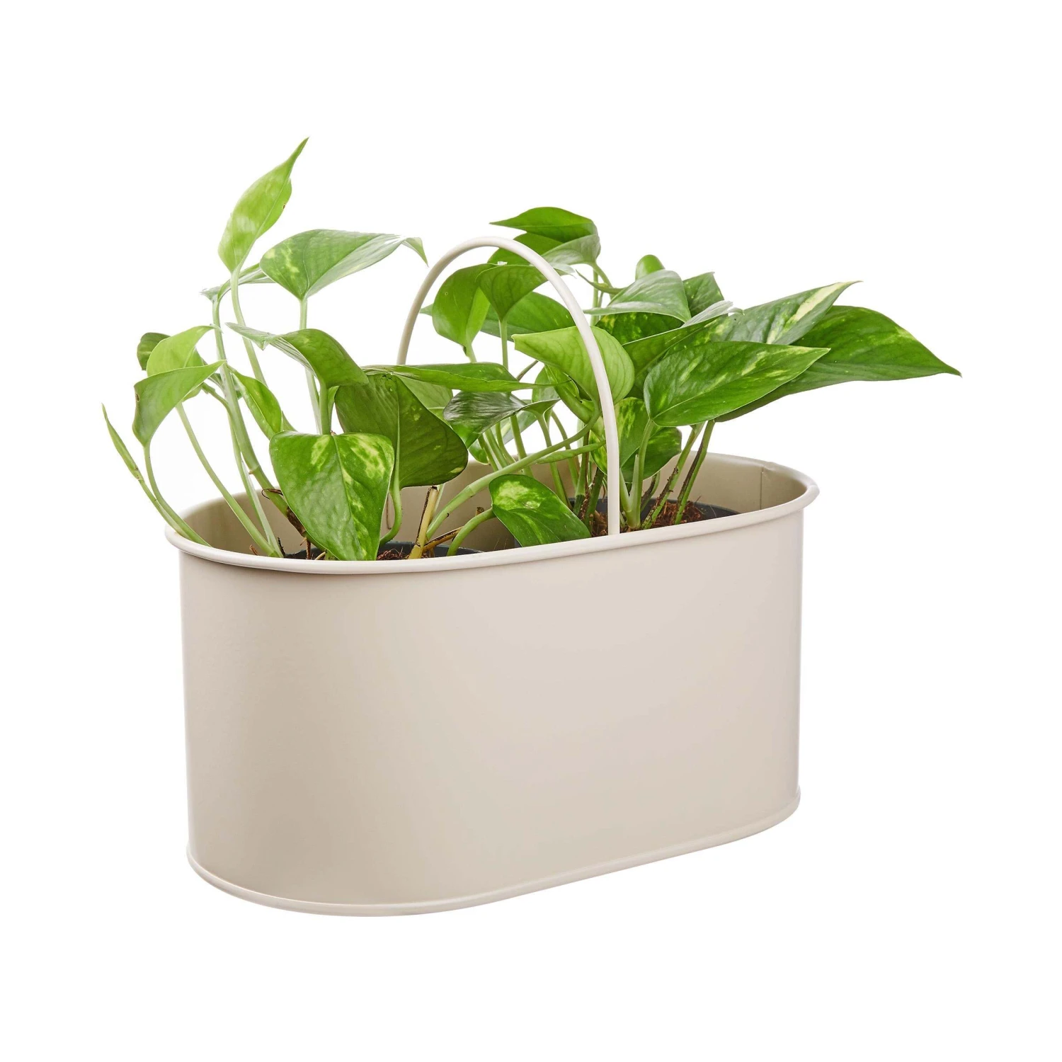 Universal-Box B 32 X T 19cm ZINC In Beige 2 Universal-Box B 32 X T 19cm ZINC In Beige – Bild 2